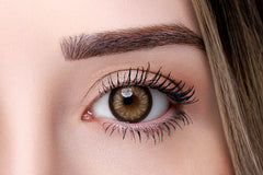 Swan Brown – Brown Colored Contacts (Plano, Yearly)