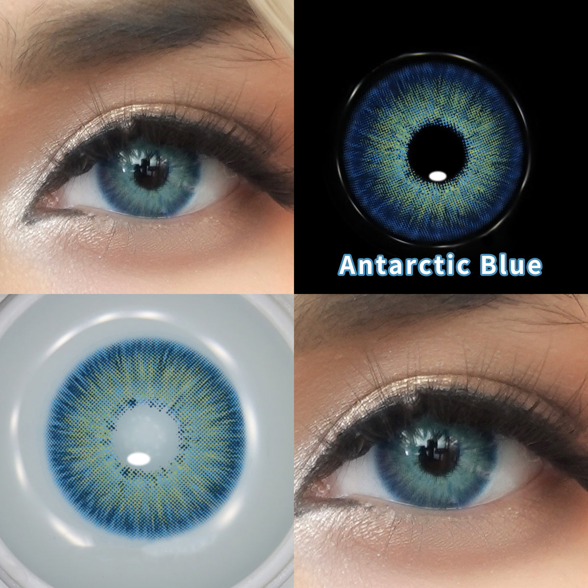 Antarctic Blue – Blue Colored Contacts (Plano, Yearly)