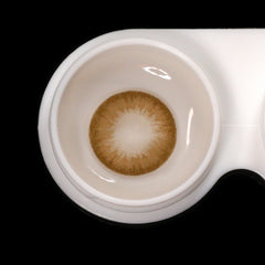 Latte – Assorted Colored Contacts (Plano, Yearly)